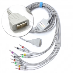 EKG干线电缆和引线